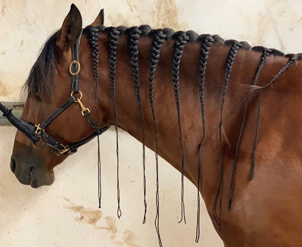Mane_Braided