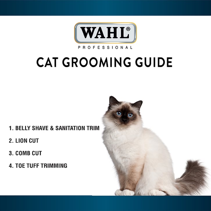 Gat_Grooming_Thumbnail