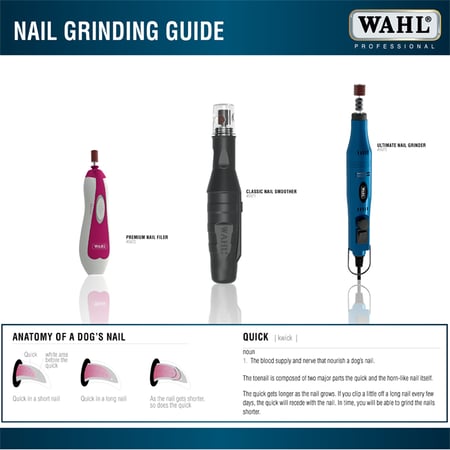 Nail_Guide_Thumbnail