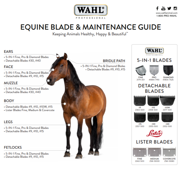 equine-blade-guide-2020